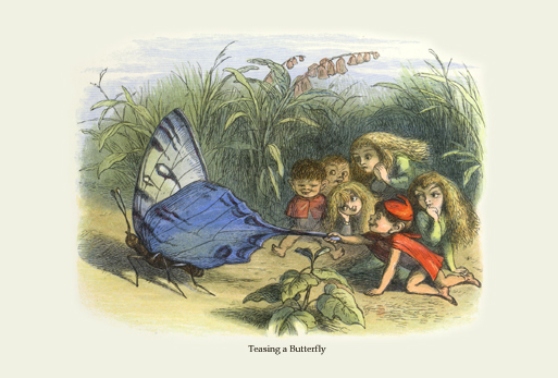 hC-d̍-Teasing a Butterfly