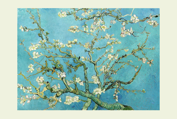 ビブリオポリ-ゴッホ-Almond Blossom