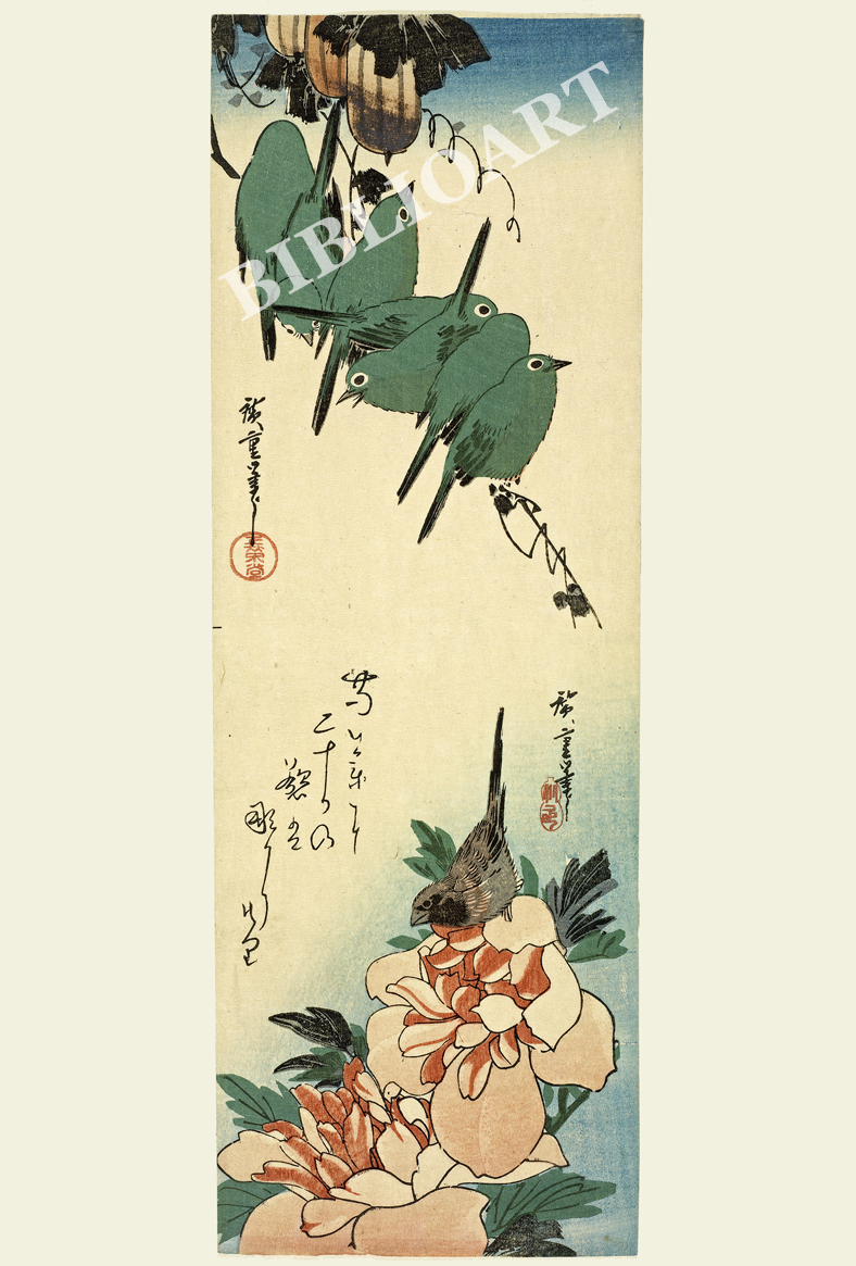 �L�d-�G�Z�ɖڔ��^䉖�ɏ���