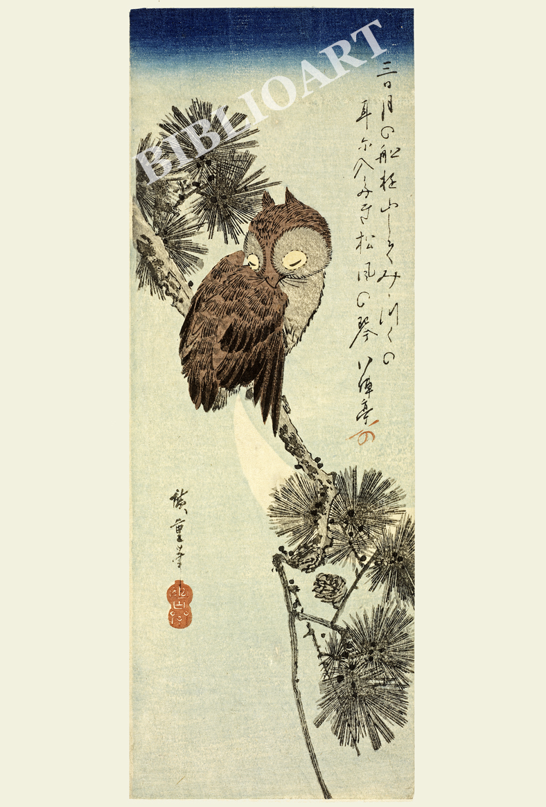 �L�d-�O�����ɏ���̖ؓp