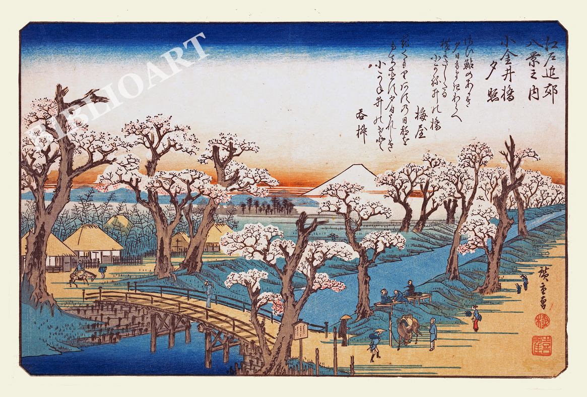 �L�d-�]�ˋߍx���i-�����䋴�[��