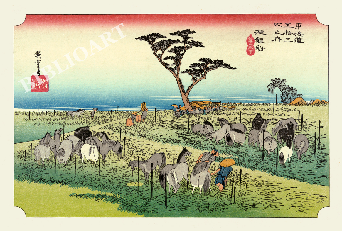 �L�d-���C���܏\�O��-�r�