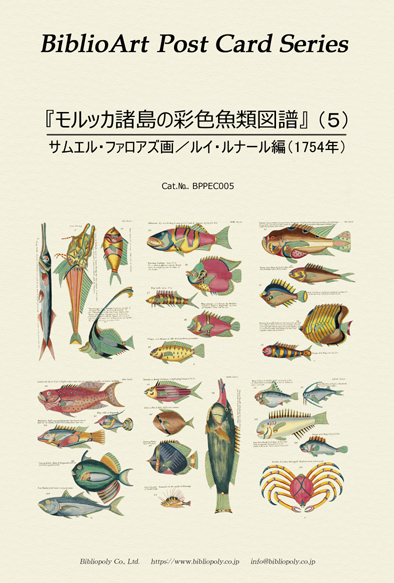 ビブリオアート-モルッカ諸島の彩色魚類図譜