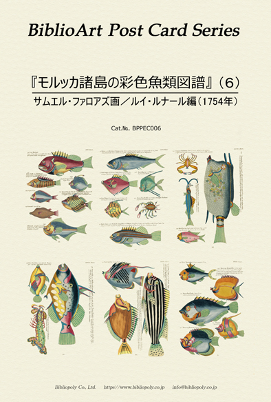 ビブリオアート-モルッカ諸島の彩色魚類図譜