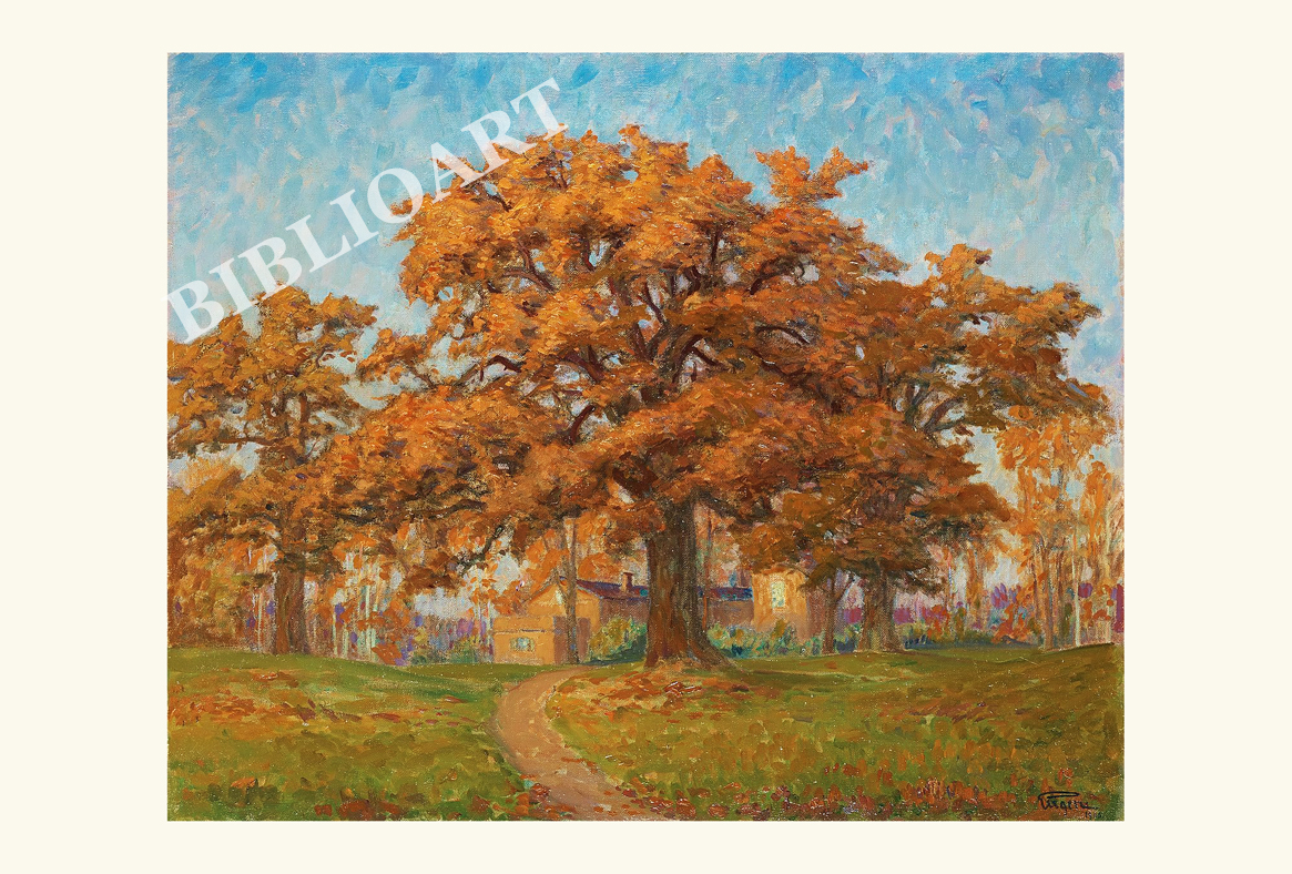 �G�E�V�F�����q��