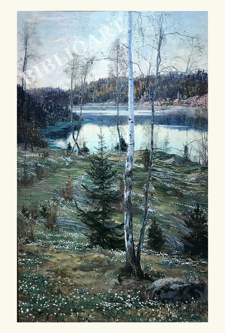 �G�E�V�F�����q