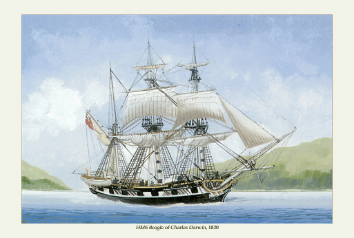 ビブリオポリ-帆船-ビーグル号