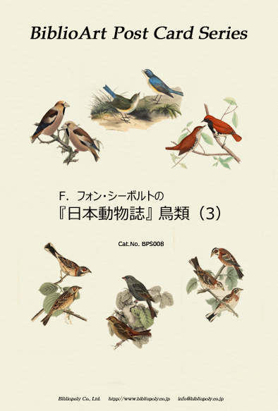 ビブリオアート-シーボルト-日本動物誌（鳥類）