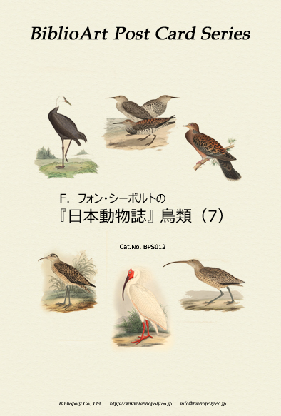 ビブリオアート-シーボルト-日本動物誌（鳥類）