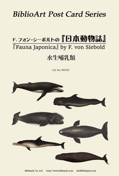 ビブリオアート-シーボルト-日本動物誌（水生哺乳類）