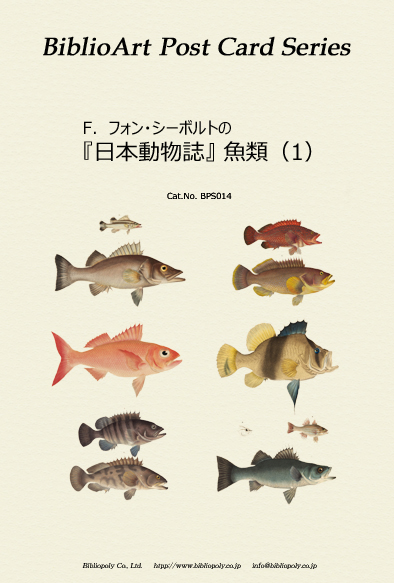 ビブリオアート-シーボルト-日本動物誌（魚類）
