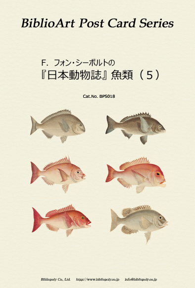 ビブリオアート-シーボルト-日本動物誌（魚類）